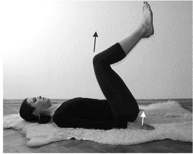 Иллюстрация к книге — Лечение позвоночника. Научитесь жить без боли в спине [_29_fmt.jpg]