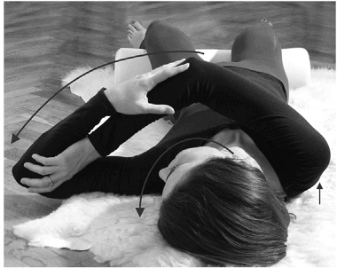 Иллюстрация к книге — Лечение позвоночника. Научитесь жить без боли в спине [_45_fmt.jpg]