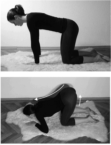 Иллюстрация к книге — Лечение позвоночника. Научитесь жить без боли в спине [_51974.jpg]