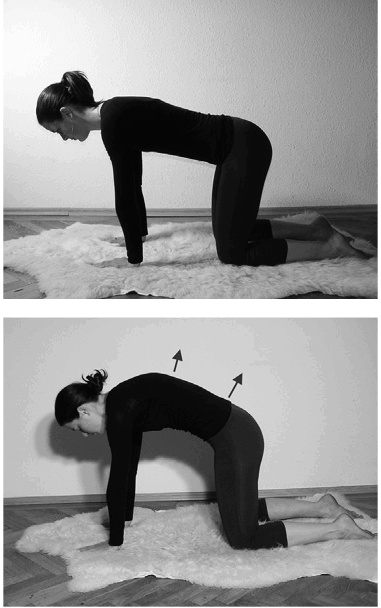 Иллюстрация к книге — Лечение позвоночника. Научитесь жить без боли в спине [_51978.jpg]