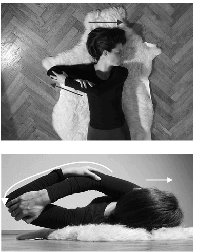 Иллюстрация к книге — Лечение позвоночника. Научитесь жить без боли в спине [_52057.jpg]