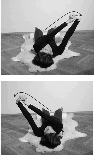 Иллюстрация к книге — Лечение позвоночника. Научитесь жить без боли в спине [_52061.jpg]