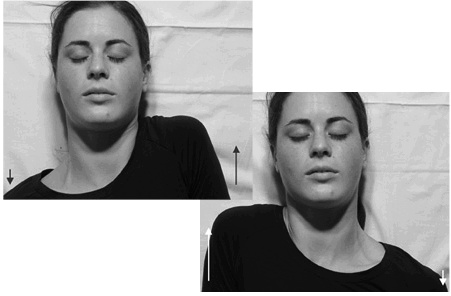 Иллюстрация к книге — Лечение позвоночника. Научитесь жить без боли в спине [_52174.jpg]