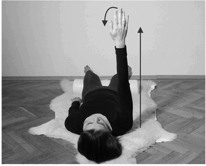 Иллюстрация к книге — Лечение позвоночника. Научитесь жить без боли в спине [_56_fmt.jpg]