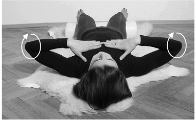 Иллюстрация к книге — Лечение позвоночника. Научитесь жить без боли в спине [_59_fmt.jpg]