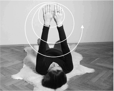 Иллюстрация к книге — Лечение позвоночника. Научитесь жить без боли в спине [_66_fmt.jpg]