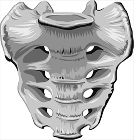 Иллюстрация к книге — Лечение позвоночника. Научитесь жить без боли в спине [_89_fmt.jpg]