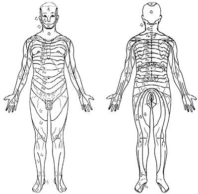 Иллюстрация к книге — Лечение позвоночника. Научитесь жить без боли в спине [_96_fmt.jpg]