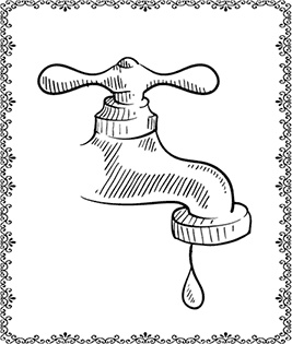 Иллюстрация к книге — Аюрведа. Траволечение и ароматерапия [i_006.jpg]