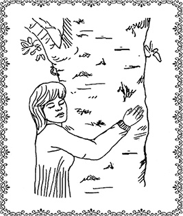 Иллюстрация к книге — Аюрведа. Траволечение и ароматерапия [i_016.jpg]