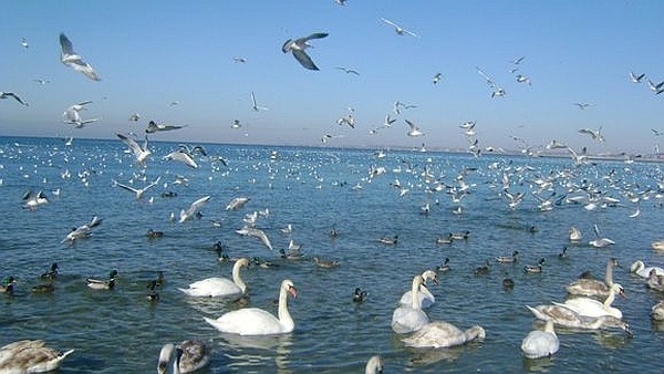 Иллюстрация к книге — Копилка семейного здоровья: как укрепить здоровье семьи без лекарств [i_005.jpg]