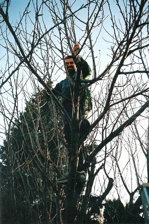 Иллюстрация к книге — Копилка семейного здоровья: как укрепить здоровье семьи без лекарств [i_015.jpg]
