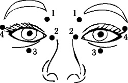 Иллюстрация к книге — Секреты людей, которые хорошо видят [autogen_ebook_id55.jpg]