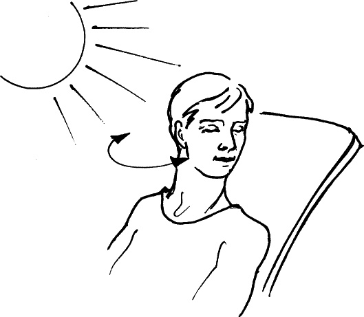 Иллюстрация к книге — Секреты людей, которые хорошо видят [autogen_ebook_id9.jpg]