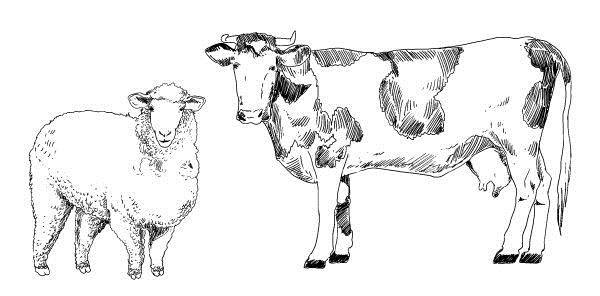 Иллюстрация к книге — Криптографические приключения. Таинственные шифры и математические задачи [i_025.jpg]