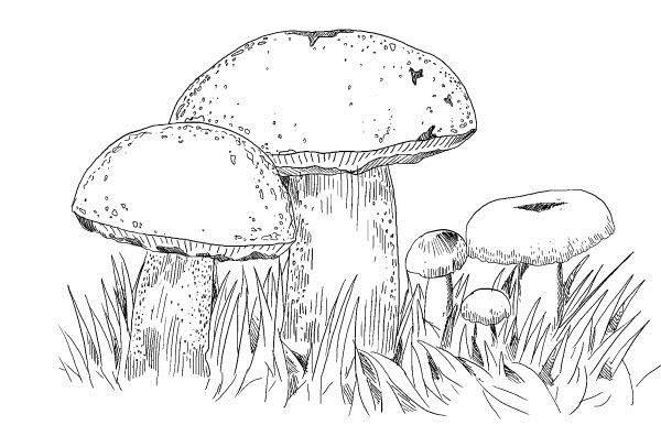 Иллюстрация к книге — Криптографические приключения. Таинственные шифры и математические задачи [i_040.jpg]