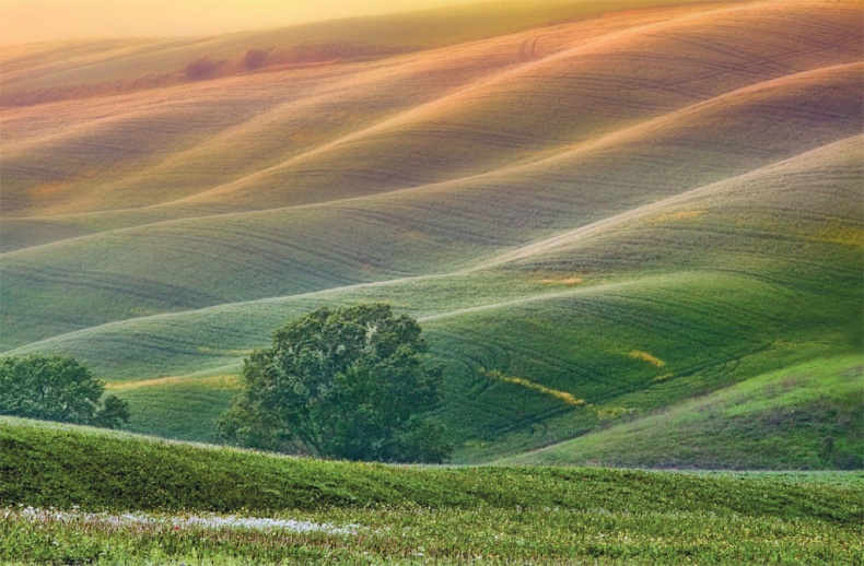 Иллюстрация к книге — Еда, меняющая жизнь. Откройте тайную силу овощей, фруктов, трав и специй [_2.jpg]