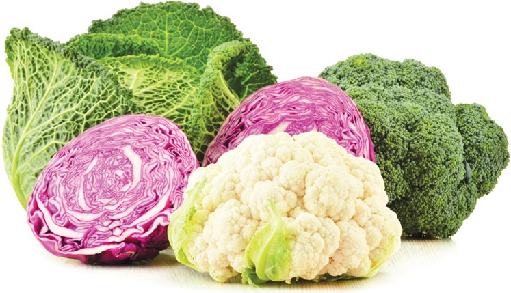 Иллюстрация к книге — Еда, меняющая жизнь. Откройте тайную силу овощей, фруктов, трав и специй [_45.jpg]