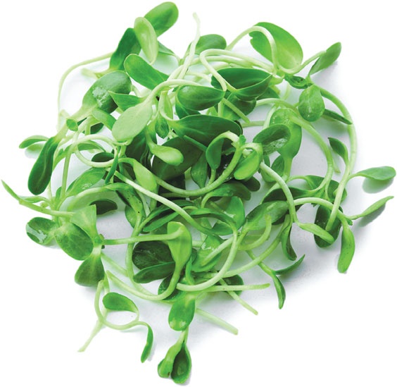 Иллюстрация к книге — Еда, меняющая жизнь. Откройте тайную силу овощей, фруктов, трав и специй [_55.jpg]