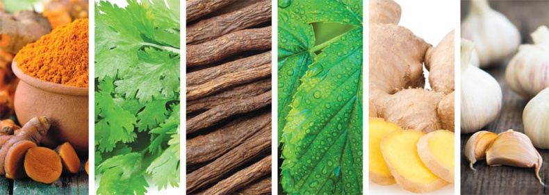 Иллюстрация к книге — Еда, меняющая жизнь. Откройте тайную силу овощей, фруктов, трав и специй [_63.jpg]