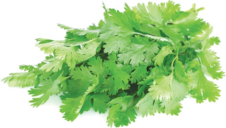 Иллюстрация к книге — Еда, меняющая жизнь. Откройте тайную силу овощей, фруктов, трав и специй [_70.jpg]