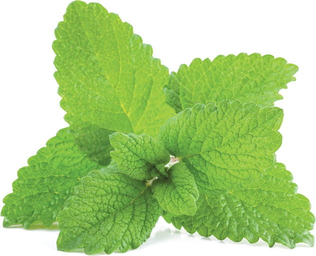 Иллюстрация к книге — Еда, меняющая жизнь. Откройте тайную силу овощей, фруктов, трав и специй [_74.jpg]