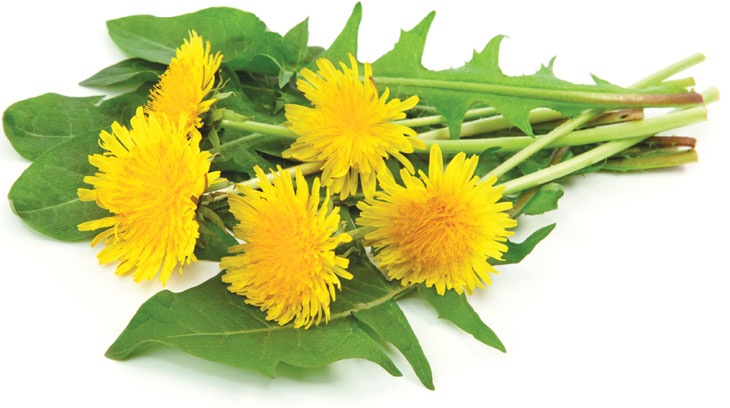 Иллюстрация к книге — Еда, меняющая жизнь. Откройте тайную силу овощей, фруктов, трав и специй [_97.jpg]