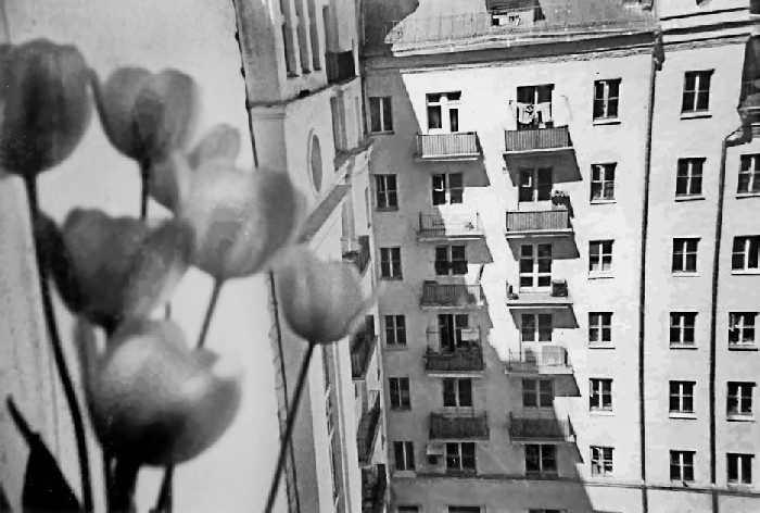 Иллюстрация к книге — Пилигрим [_142.jpg]