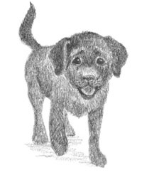 Иллюстрация к книге — Щенок Кнопочка, или Умная малышка [block_0011447.jpg_3.jpg]