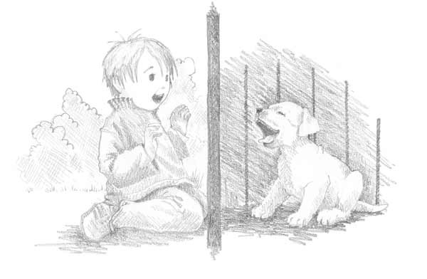 Иллюстрация к книге — Щенок Сэм, или Украденное счастье [block_001144127.jpg]