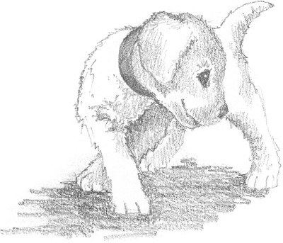 Иллюстрация к книге — Щенок Сэм, или Украденное счастье [block_0011447.jpg]