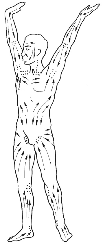 Иллюстрация к книге — Лечение спины и суставов. Новейшие рекомендации. Методы лечения. Советы специалистов [i_015.jpg]