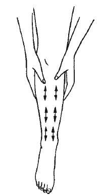 Иллюстрация к книге — Лечение спины и суставов. Новейшие рекомендации. Методы лечения. Советы специалистов [i_022.jpg]
