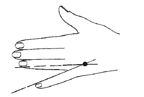 Иллюстрация к книге — Лечение спины и суставов. Новейшие рекомендации. Методы лечения. Советы специалистов [i_027.jpg]