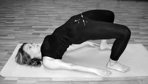 Иллюстрация к книге — Интимное здоровье женщины [pic_16.jpg]