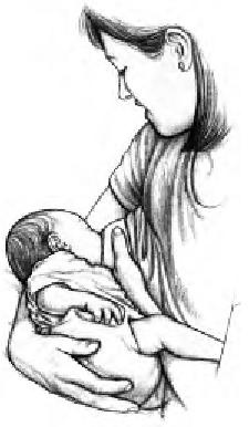 Иллюстрация к книге — Грудное вскармливание. Кормление грудью нужно и ребенку, и маме [i_008.jpg]