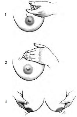 Иллюстрация к книге — Грудное вскармливание. Кормление грудью нужно и ребенку, и маме [i_019.jpg]