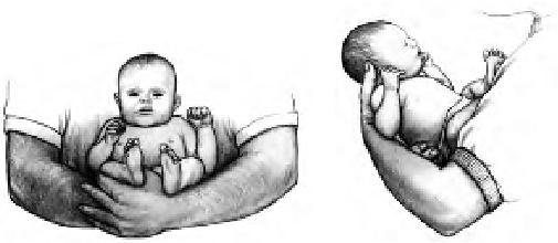 Иллюстрация к книге — Грудное вскармливание. Кормление грудью нужно и ребенку, и маме [i_062.jpg]