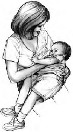 Иллюстрация к книге — Грудное вскармливание. Кормление грудью нужно и ребенку, и маме [i_071.jpg]