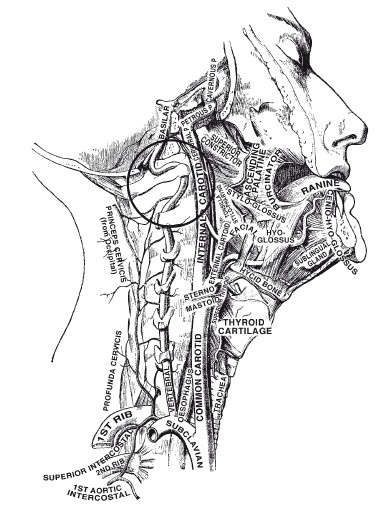 Иллюстрация к книге — Ни кошелька, ни жизни. Нетрадиционная медицина под следствием [i_017.jpg]