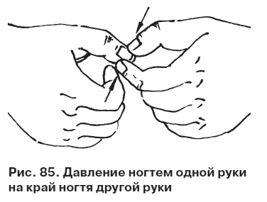 Иллюстрация к книге — Целительные точки от всех болезней в пошаговых схемах [i_086.jpg]