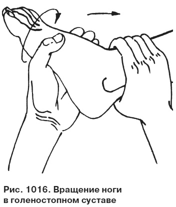 Иллюстрация к книге — Целительные точки от всех болезней в пошаговых схемах [i_1017.jpg]