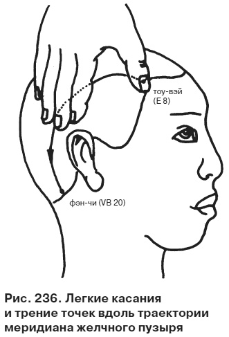 Иллюстрация к книге — Целительные точки от всех болезней в пошаговых схемах [i_237.jpg]