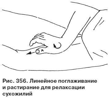 Иллюстрация к книге — Целительные точки от всех болезней в пошаговых схемах [i_357.jpg]