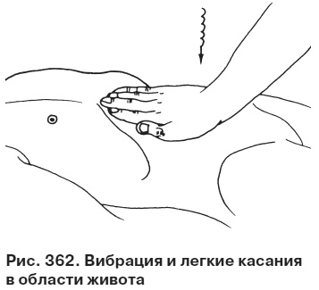 Иллюстрация к книге — Целительные точки от всех болезней в пошаговых схемах [i_363.jpg]