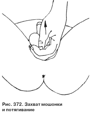 Иллюстрация к книге — Целительные точки от всех болезней в пошаговых схемах [i_373.jpg]