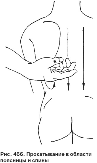 Иллюстрация к книге — Целительные точки от всех болезней в пошаговых схемах [i_467.jpg]