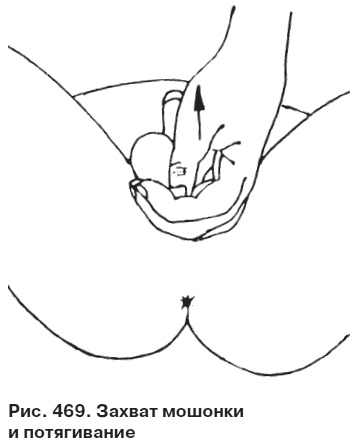 Иллюстрация к книге — Целительные точки от всех болезней в пошаговых схемах [i_470.jpg]