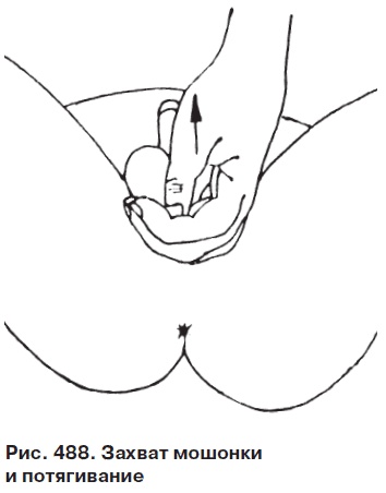 Иллюстрация к книге — Целительные точки от всех болезней в пошаговых схемах [i_489.jpg]