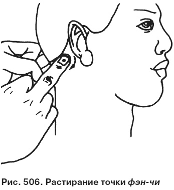 Иллюстрация к книге — Целительные точки от всех болезней в пошаговых схемах [i_507.jpg]